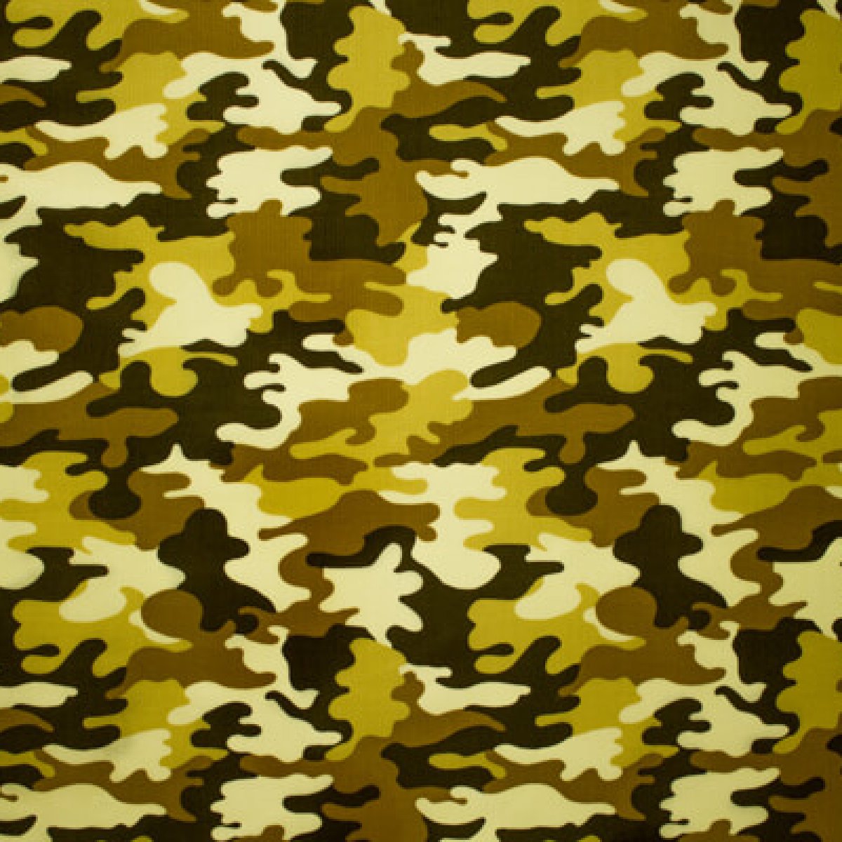 Camo Gold B